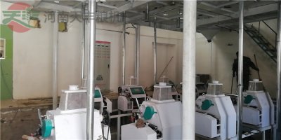2021-2027年中国面粉加工行业研究与投资可行性报告
